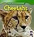 Cheetahs (Animals That Live in the Grasslands)