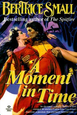 A Moment in Time (Paperback)