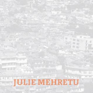 Julie Mehretu: Black City (Hardcover)