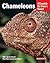 Chameleons by Patricia P. Bartlett