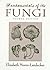 Fundamentals of the Fungi