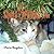 Zippy's Christmas Tree