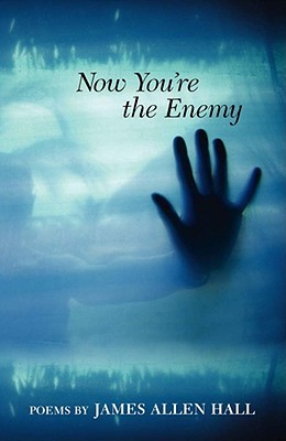 Now You're the Enemy: Poems (Paperback)