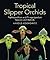 Tropical Slipper Orchids: P...