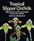 Tropical Slipper Orchids: Paphiopedilum and Phragmipedium Species and Hybrids