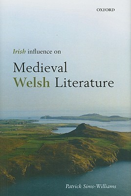 Irish Influence on Medieval Welsh Literature (Hardcover)
