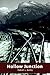 Hollow Junction by Robert L. Bailey