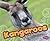 Kangaroos (Australian Animals)