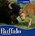 Buffalo (Animals Animals)