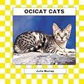 Ocicat