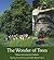 The Wonder of Trees: Nature Activities for Children
