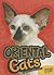 Oriental Cats (Edge Books)