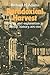 Paradoxical Harvest: Energy and explanation in British History, 1870–1914 (American Sociological Association Rose Monographs)