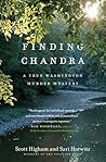 Finding Chandra: A True Washington Murder Mystery