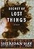 The Secret of Lost Things