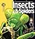Insects & Spiders