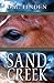 Sand Creek by D.W. Linden