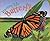 Starting Life: Butterflies