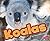 Koalas (Australian Animals)