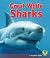 Great White Sharks (Early B...