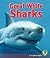 Great White Sharks (Early Bird Nature Books)