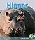 Hippos (Early Bird Nature B...