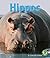 Hippos (Early Bird Nature Books)