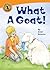 What a Goat! (Annick Chapte...