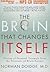 The Brain That Changes Itself: Stories of Personal Triumph from the Frontiers of Brain Science