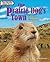 The Prairie Dog's Town: A Perfect Hideaway (Spectacular Animal Towns)