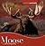 Moose (Animals Animals)