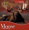 Moose (Animals Animals)