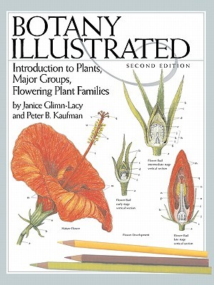 Botany Illustrated: Introduction to Plants, Major Groups, Flowering Plant Families (Paperback)