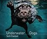 Underwater Dogs by Seth Casteel Underwater Dogs by Seth Casteel