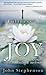 FULLNESS OF JOY: A Spiritual Guide to the Paradise Within