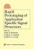 Rapid Prototyping of Application Specific Signal Processors by Mark A. Richards
