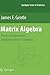 Matrix Algebra: Theory, Computations, and Applications in Statistics (Springer Texts in Statistics)