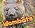 Wombats (Australian Animals)