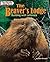 The Beaver's Lodge: Building with Leftovers (Spectacular Animal Towns)