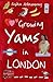 Growing Yams in London