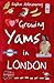 Growing Yams in London by Sophia Acheampong
