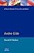 Andre Gide (Modern Literatures In Perspective)