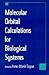 Molecular Orbital Calculations for Biological Systems (Topics in Physical Chemistry)