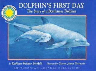 Dolphin's First Day