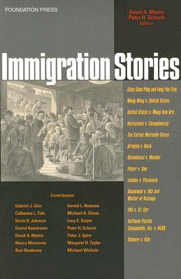 Immigration Stories (Paperback)