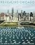 Revealing Chicago: An Aerial Portrait