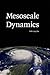 Mesoscale Dynamics