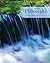 Philosophy: A Text with Rea...