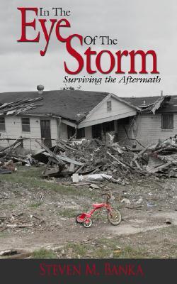 In The Eye Of The Storm: Surviving the Aftermath (Paperback)