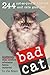 Bad Cat by Jim Edgar